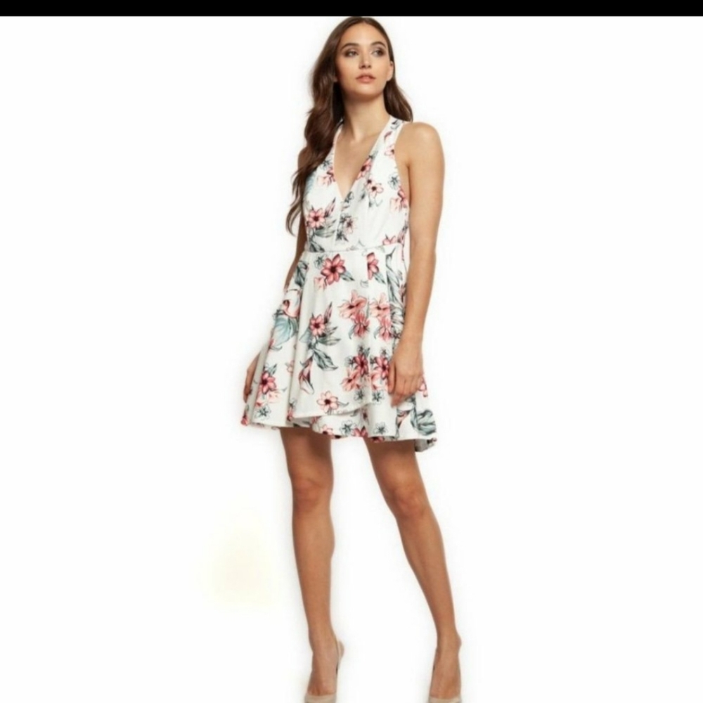 Lulus floral skater dress v neck